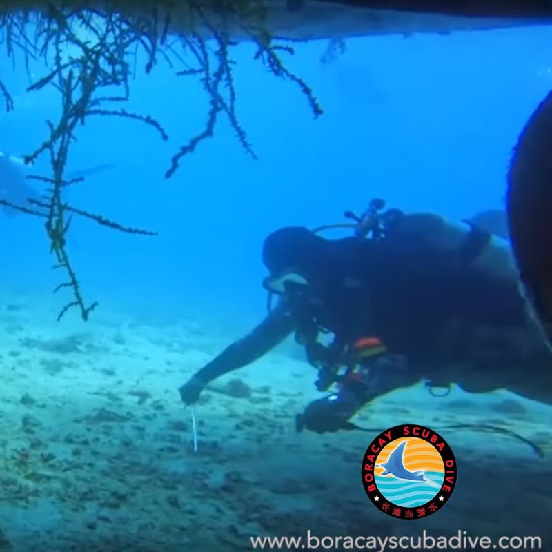 Boracay Scuba Dive