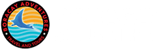 BoracayScubaDive_Logo_white