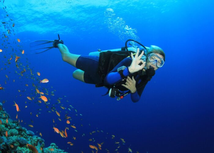 PADI Discover Scuba Diving Featured Image